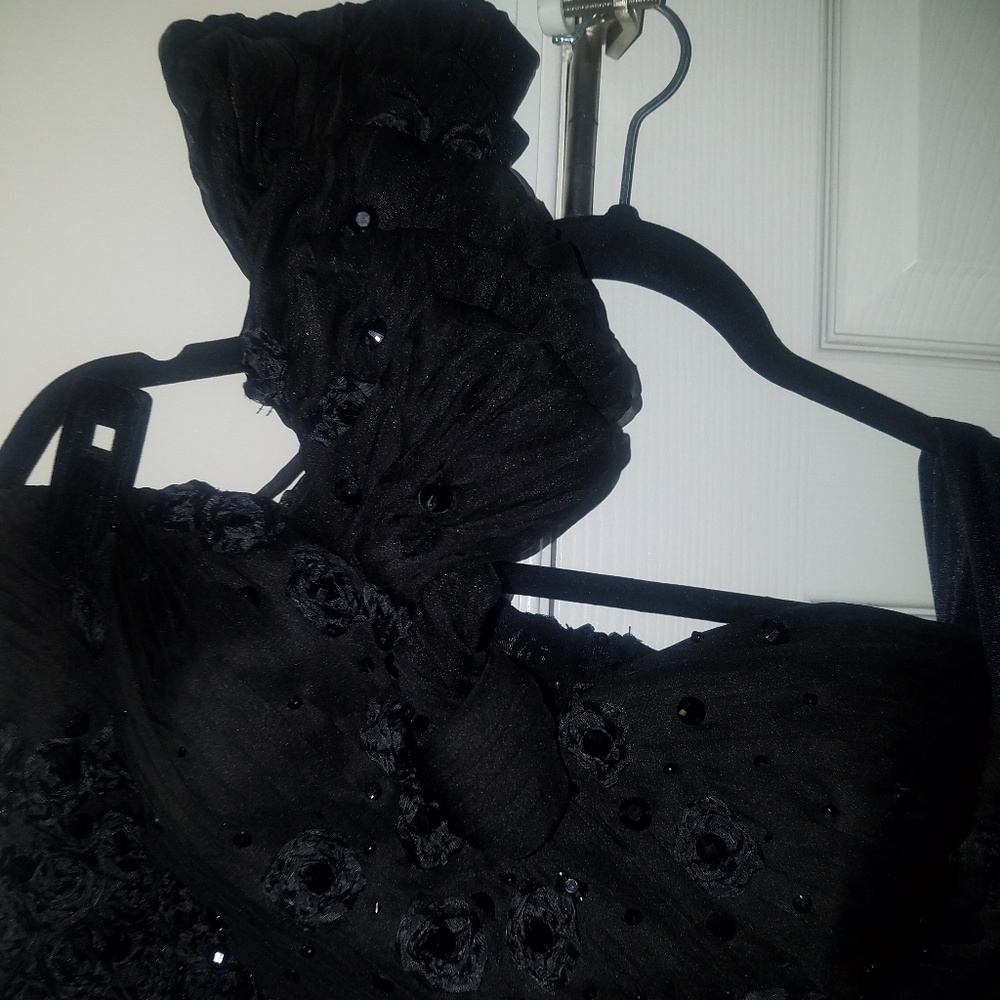 Evening Gown - Picture 3 of 5